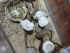 -青石桥花鸟鱼虫市场(叠翠城店)