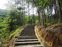 -广州白江湖森林公园