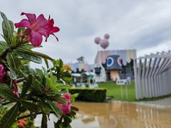 -水桶王国主题餐厅·聚会·生日派对·亲子活动·家庭套餐(亚龙湾希尔顿店)