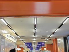 -帕帕拉兹宠物(亚洲旗舰店)