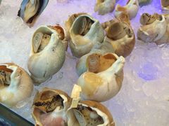 -圣丰索菲特·2 On 988 Café 自助餐厅