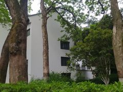 -红梅公园