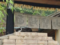 -东海半边山旅游度假区