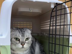 -美联众合动物医院·24h京西诊疗中心