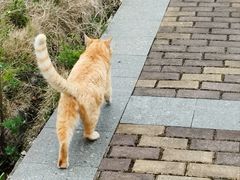 -恒大·海上威尼斯售楼处