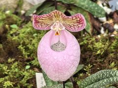 -国家植物园南园