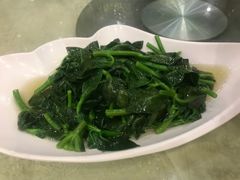 田七苗-琼菜王(南海店)