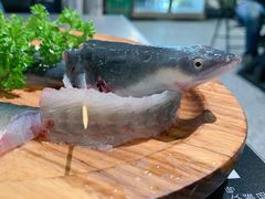 -本炙炭烤·蒲烧活鳗料理店(金沙洲店)