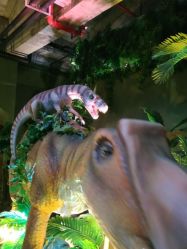 -恐龙探索乐园(磁器口店)