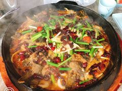 -老板恋上鱼(恒隆广场店)