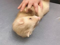 -沃洛格达(万象城n次方店)