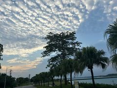 -露天矿生态公园