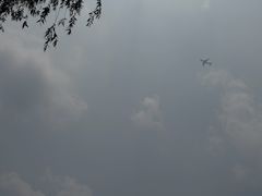-秋霞圃