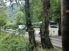 -牛背梁国家森林公园