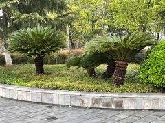 -后襄河公园