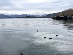 -湖畔居茶楼(湖滨店)