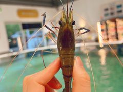 -嘻虾·钓虾工场(东莞总店)