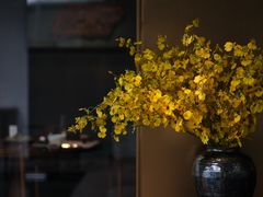 -觀芷隐轩