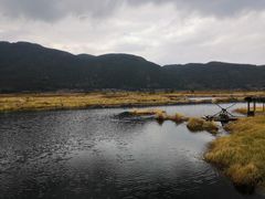-腾冲北海湿地