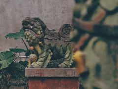 -青林口古镇