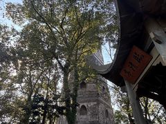 -江心屿景区