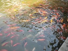 -西宁市人民公园(城西区)