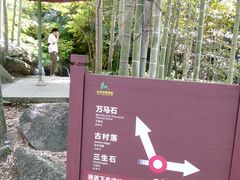 -山沟沟景区