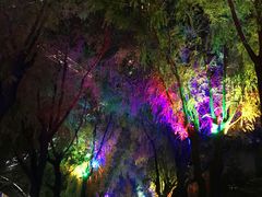 -哈尔滨文化公园