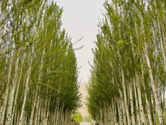 -天山神秘大峡谷