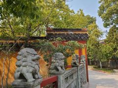 -高旻寺