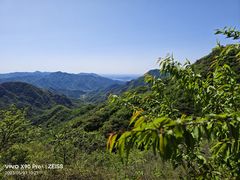 -大岭沟猕猴桃谷风景区