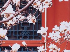 -颐和园