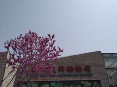 -石家庄市动物园