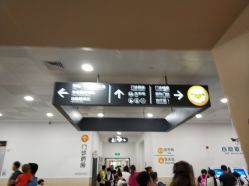 -上海交通大学医学院附属上海儿童医学中心(陆家嘴总院区)