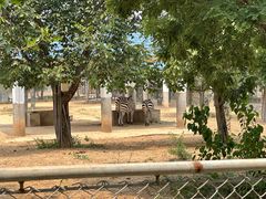 -石家庄市动物园