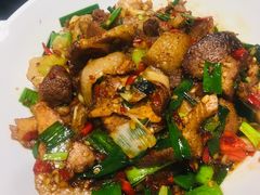 -壹盏灯(惠农店)