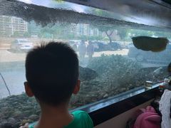-汇豪轩(光明东路店)