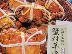 -蟹村草堂·苏式园林人文农家·大闸蟹