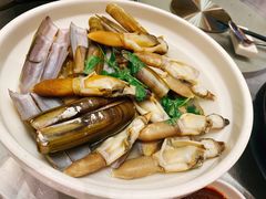 小蛏王-盘锦生态酒店-火锅餐厅
