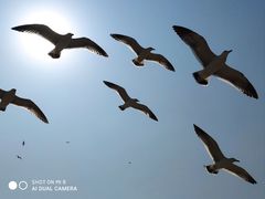 -旅顺留声机博物馆