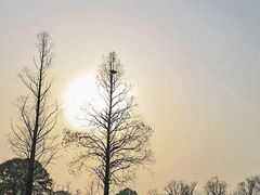 -良渚古城遗址公园