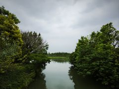 -三垟湿地