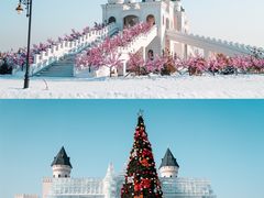 -呼兰河口湿地公园