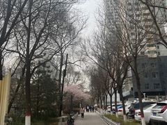 -西宁市人民公园(城西区)