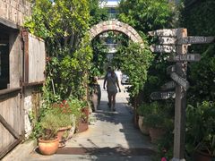 -The Grounds of Alexandria