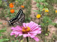 -沕沕水生态风景区