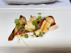 -蝶舍·MAISON PAPILLON