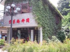 鼎湖山-鼎湖山风景区