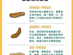 -瑞派申生动物医院·24H夜诊·国际动物医疗中心·骨外科(吴中路店)