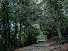 -西湖风景区十里琅珰-五云山